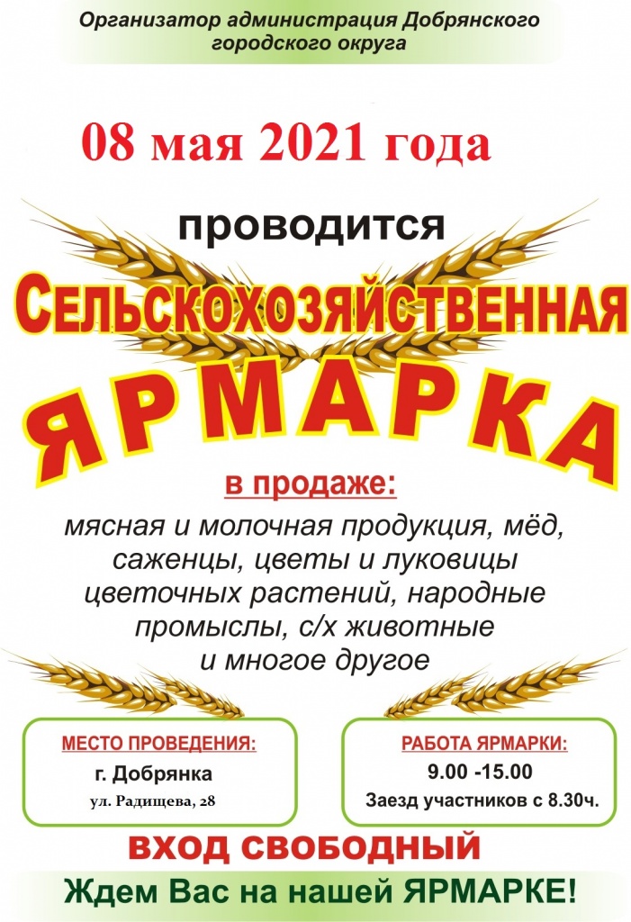 афиша Добрянка.jpg